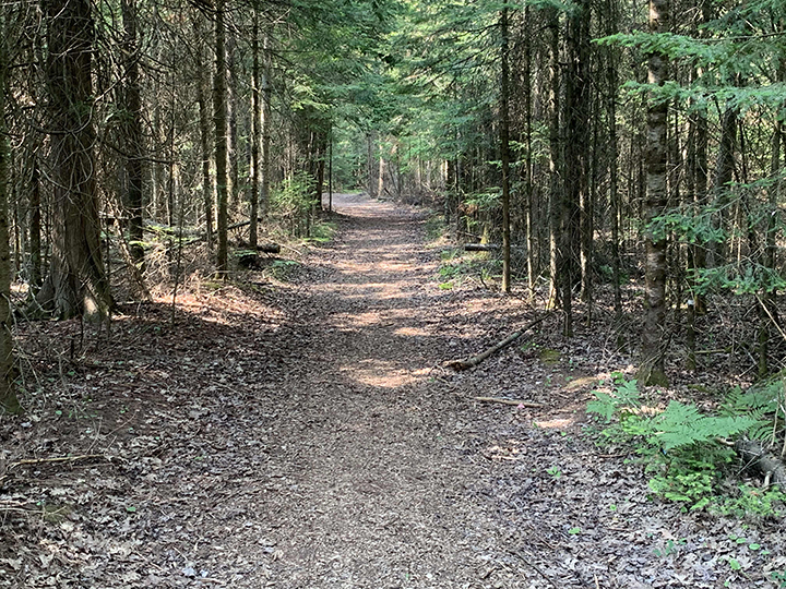 Hidden gems showcase the beauty of Northeast Michigan | News, Sports ...